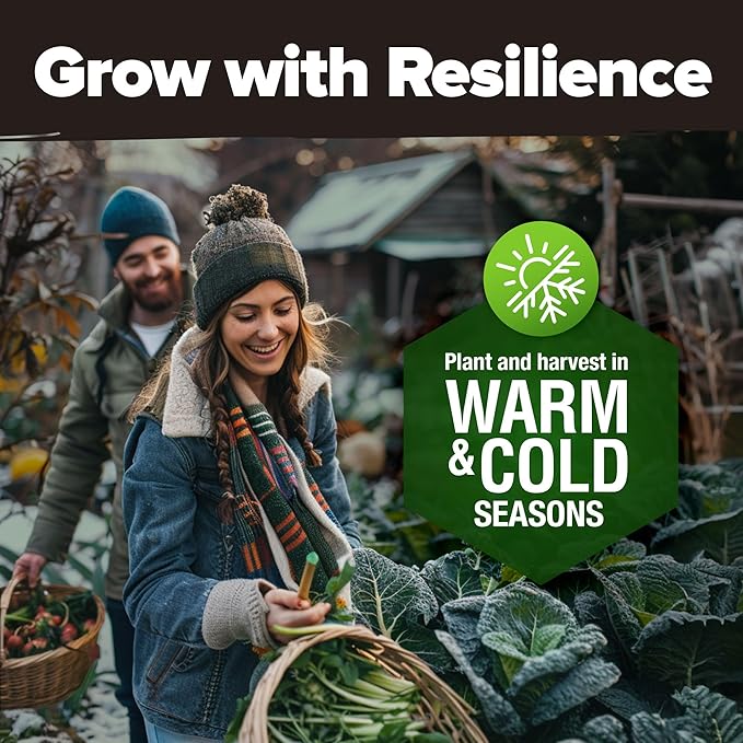 HOME GROWN 𝗨𝗦𝗔 𝗣𝗥𝗘𝗠𝗜𝗨𝗠 25 Heirloom Vegetable Seeds Kit - 12,000+ NON-GMO Seeds for Planting Vegetables, Survival Garden Seed Vault, Tomatoes Carrots Beans Kale Peppers, Indoor Outdoor Garden