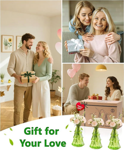 Nacome Christmas Tree Propagation Stations: 3PCS Plant Terrarium Glass Vases for Home Office Decor, for Plant Lovers Women Mom (Green)