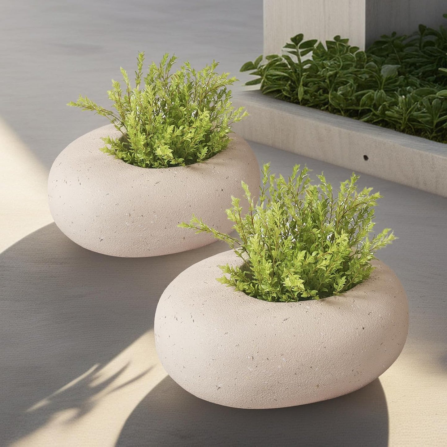 Stone - Mimicking Indoor/Outdoor Concrete Planter - Concrete Composite | Durable for Lawns & Commercial Decor (Beige, Small)