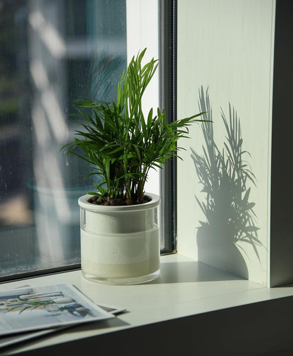 Phoenix Vine 4 Inch Self Watering Planter Pot, Design White Terracotta Pots for Plants, Indoor Cylinder Terra Cotta Pots with Glass Vase, Set of 2, 51-B-E-2