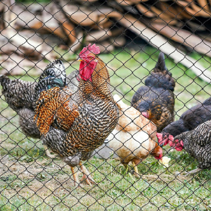 Junflying Bird Netting for Chicken Coop, 1 Inch Mesh 25x50 Ft Strong Woven Poultry Netting for Chicken Run Roof Cover, Against Bird Hawk Small Animals, Protect Strawberry Plant Fruit Tree Vegetable