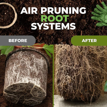 Self-Watering Planter Insert (3PK) - Turn Any Bucket into a Self-Watering Container Garden