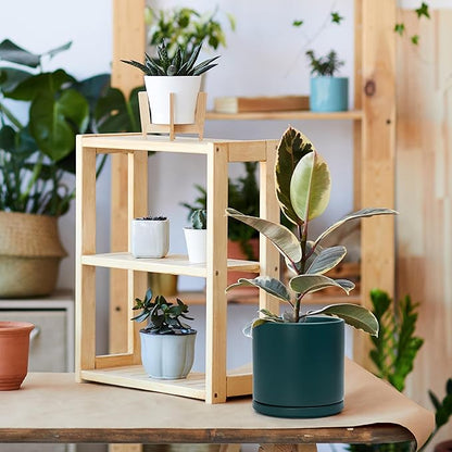 D'vine Dev Set of 2 Plants Pots, 8 Inch Ceramic Planter Pot for Plants with Drainage Hole and Saucer, Teal, 94-V-D-9