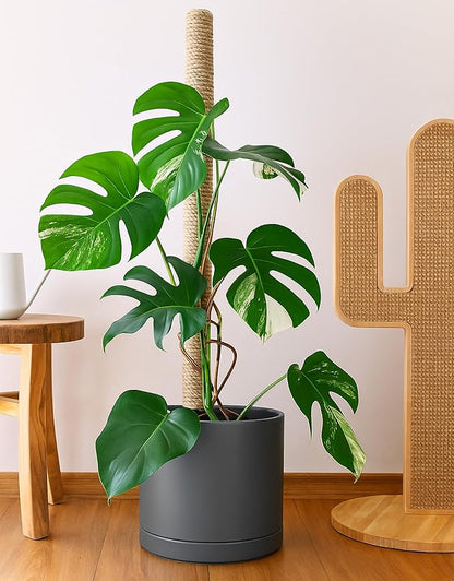 D'vine Dev 14 Inch Ceramic Planter Pot with Drainage Hole and Saucer, Indoor Cylinder Round Planter Pot, Speckled Grey, 94-O-G-3