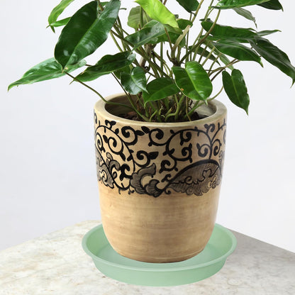 6 Pack of 6 inch Plant Saucer Drainage Tray, 4 5 7 8 10 12 13 15 17 19 inch Plastic Plant Water Tray, Flower Saucers for Indoors, Plant Dishes for Pots Base (6 inch, Light Green)