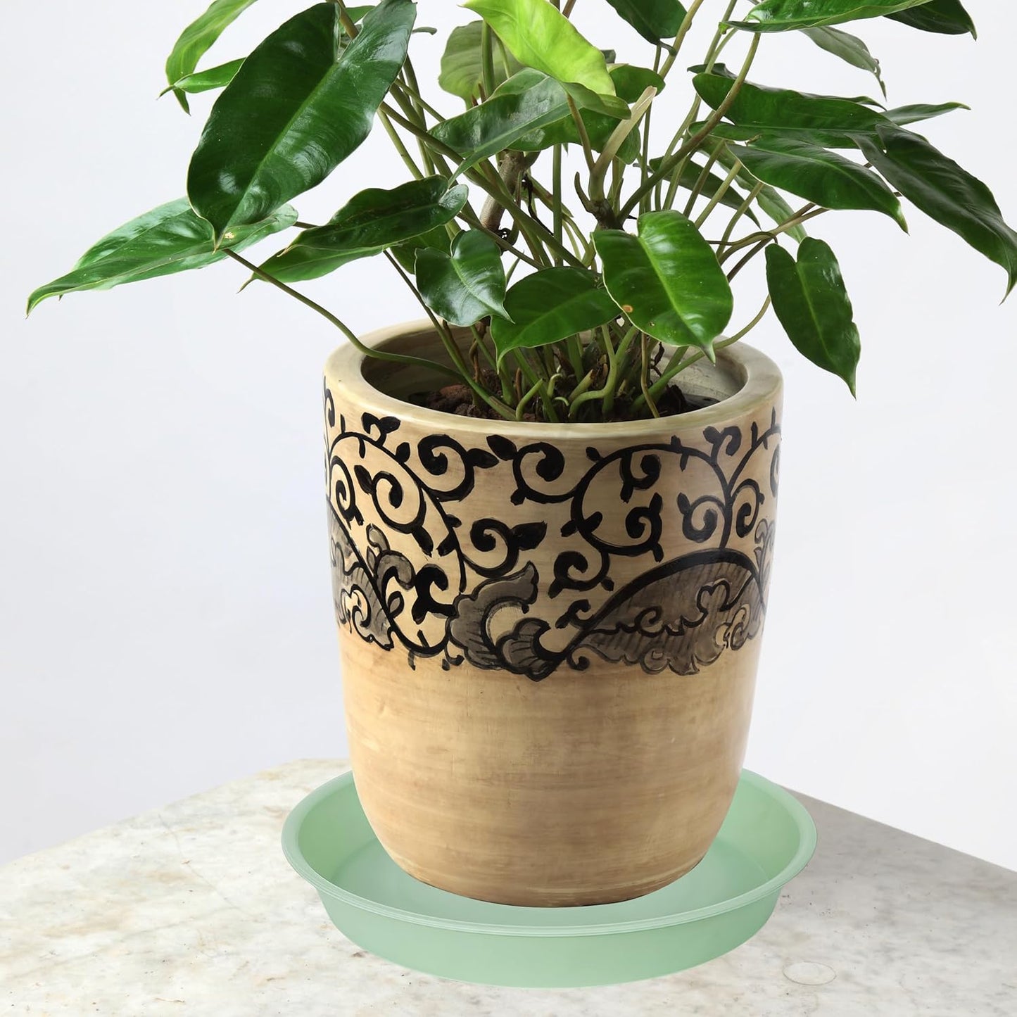 2 Pack of Bird Bath Bowl 12", 1.6" Depth, 10 12 inch Birdbath Bowls Dish Only for The Garden, Large Plant Saucer (12", Light Green)