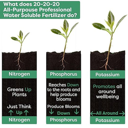 20-20-20 Water-Soluble Fertilizer – Powder for Liquid Plant Food for Indoor & Outdoor Plants, Orchids, Vegetables, Lawns, Flowers – 20 20 20 Fertilizer (10 QUARTS)