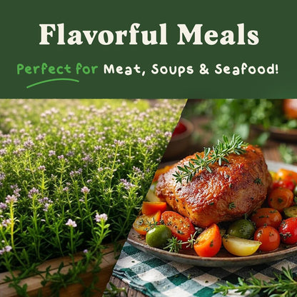 Seedboy Organic Thyme Seeds for Planting Indoor and Outdoor, Non-GMO and USDA Certified Herb Seed Packet for Hydroponic Garden Indoor or Planting Outdoors (Thyme)