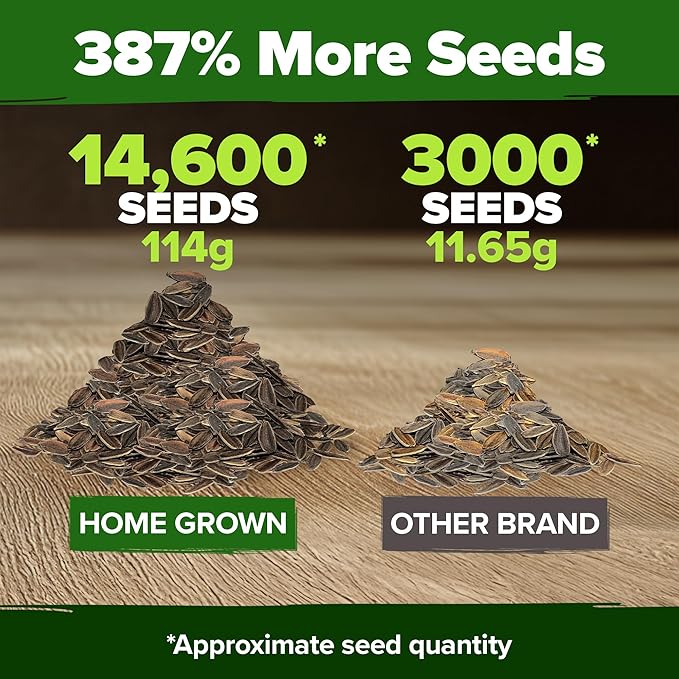 HOME GROWN Zinnia Seeds for 2026 - California Giant Mix - 14,600+ (4 oz) 𝗡𝗢𝗡-𝗚𝗠𝗢 𝗨𝗦𝗔 Plant Wildflower Blooms – Bulk Seeds for Planting Flowers Outside - Pollinator Gardens (Zinnia elegans)