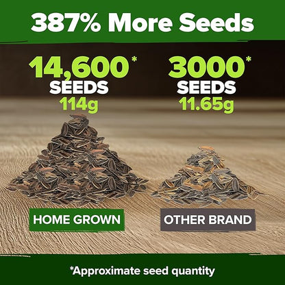 HOME GROWN Zinnia Seeds for 2026 - California Giant Mix - 14,600+ (4 oz) 𝗡𝗢𝗡-𝗚𝗠𝗢 𝗨𝗦𝗔 Plant Wildflower Blooms – Bulk Seeds for Planting Flowers Outside - Pollinator Gardens (Zinnia elegans)