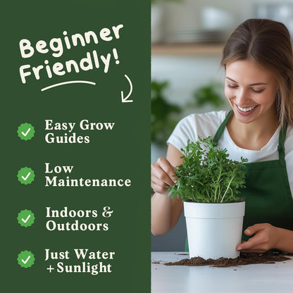 Seedboy Organic Arugula 'Slow Bolt' Seeds for Planting Indoor and Outdoor, Non-GMO and USDA Certified Herb Seed Packet for Hydroponic Garden Indoor or Planting Outdoors (Slow Bolt Arugula)