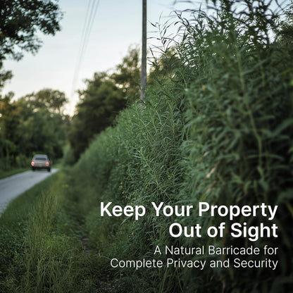 Screening Food Plot Seeds for Deer - Annual Mix - Egyptian Wheat, Sorghum (Grain/Sudangrass) - Spring, Summer & Fall Planting - 3 lbs