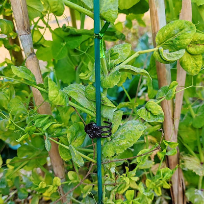 RONYOUNG 100 Pieces Green Bamboo Plant Stakes with 100 Pieces Orchid Clips and 100 Metallic Twist Ties for Supporting Stems Vines Stalks Grow Upright