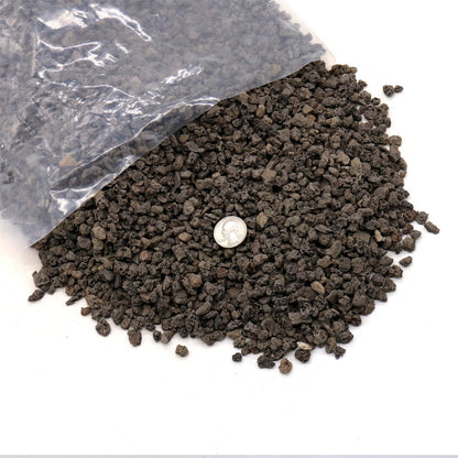 Volcanic Rock for Plants. Black Color Lava Rock. 1/5 Inch - 10 lbs for Potting Soil, Succulents, Pots, Plants, Gardening, Indoor, Crafting, Vase Fillers (Mini, Horticultural - Black Lava, 10)