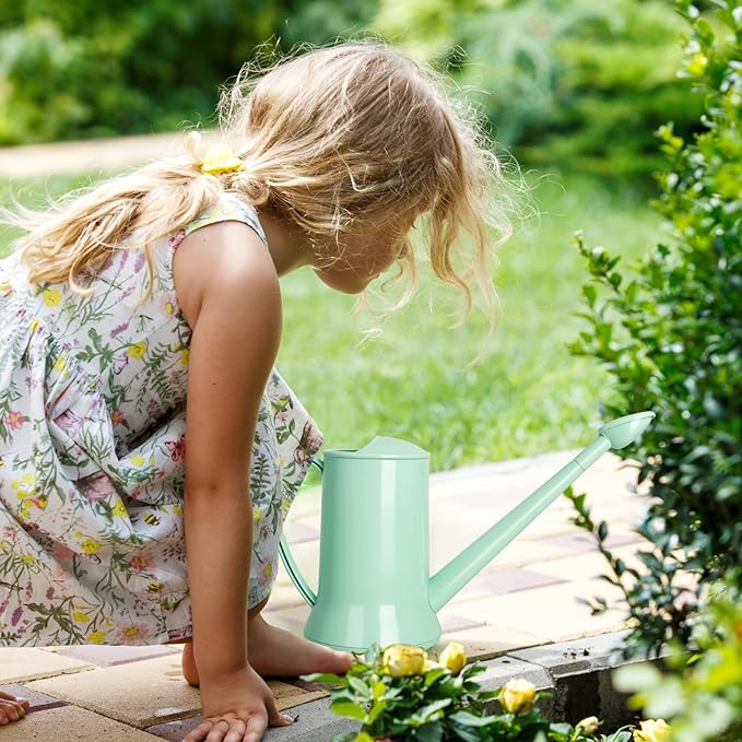 XXXFLOWER 1/2 Gallon Small Indoor Plant Watering Can, 2L Long Spout Removable Nozzle Flower Watering Pot for Office House Indoor Garden（Green, 67 oz）