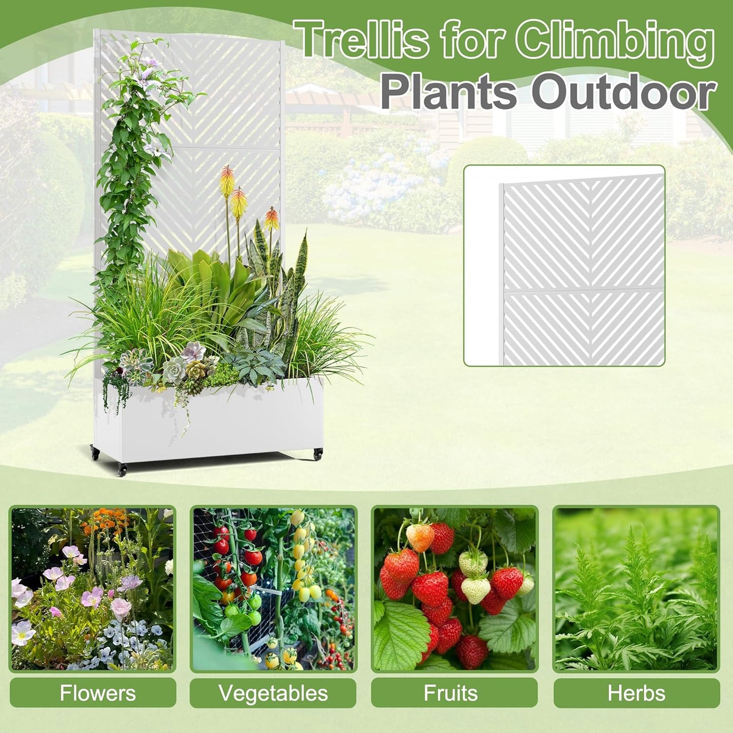 Raised Garden Bed with Trellis and Wheels,73"x35"x16" Metal Raised Garden Bed,White Parallel Metal Planter with Climbing Trellis for Vines & Vegetables