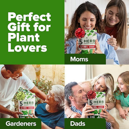 HOME GROWN 5 Herb Seeds for Planting 2,150+ Non-GMO Heirloom Seeds | Extra Large Variety Pack Herb Kit – Indoor Outdoor & Hydroponic | Culinary Seed Set | Grow Your Own Herbs | Gift for Beginners