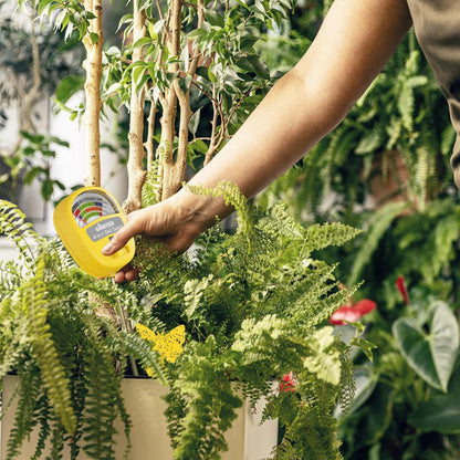 Gardtech Soil Moisture Meter - 4-in-1 Soil Test Kit Without Battery, Soil Moisture/Light/Nutrients/pH Meter for Plant, Garden, Lawn, Indoor & Outdoor (White)