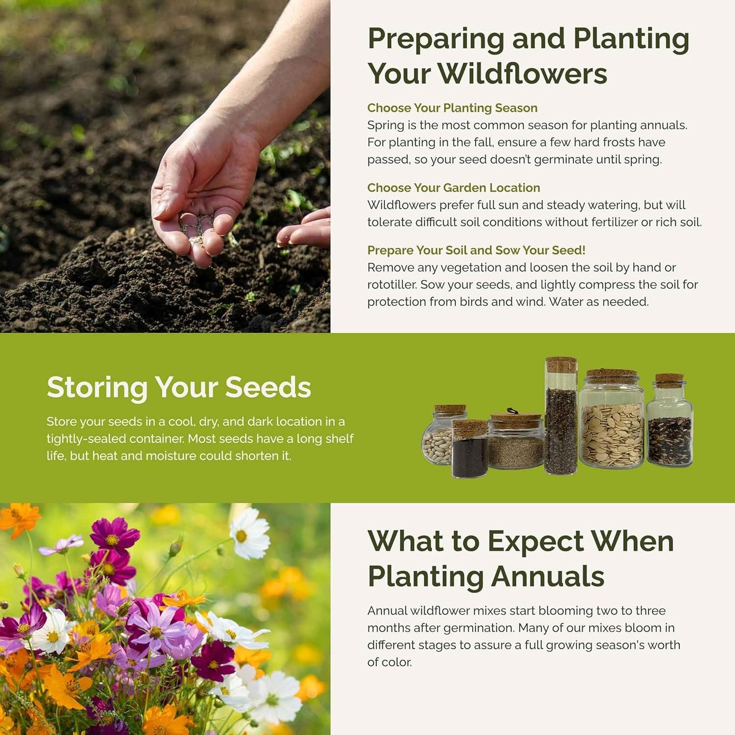 Eden Brothers Crazy for Cosmos Flower Mixed Seeds for Planting, 5 lb, 2,400,000+ Seeds with Cosmos Gloria, Pinkie, Purity | Attracts Pollinators, Plant in Spring or Fall, Zones 3, 4, 5, 6, 7, 8, 9, 10