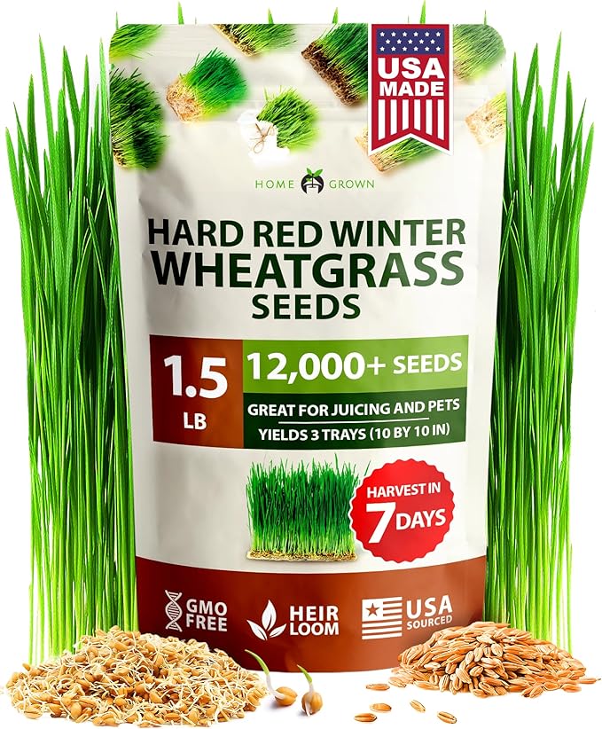 HOME GROWN 12,000+ Wheatgrass Seeds Bulk Pack(1.5 lb) 𝗡𝗢𝗡-𝗚𝗠𝗢 𝗨𝗦𝗔 Hard Red Winter Wheatgrass – Heirloom, Sprouting for Juicing, Microgreens, Smoothies & Indoor Gardening(Triticum aestivum)