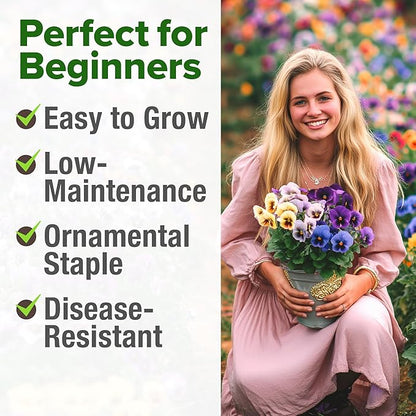 HOME GROWN Pansy Swiss Giants Mix - 1,500 Flower Seeds (2.13g) - Fall Planting Pansies Seed - Edible Viola Seeds - Cold Hardy Annuals for Containers & Outdoor Gardens (Viola × wittrockiana)