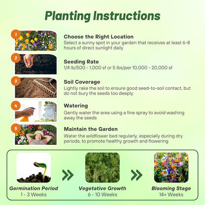 Outsidepride Deer Proof Wildflower Seed Mix - 1 lb. Colorful Blend of Easy to Grow, Drought-Tolerant Annual & Perennial Wildflower Seeds for a Deer-Free,Vibrant Meadow & Pollinator-Friendly Garden