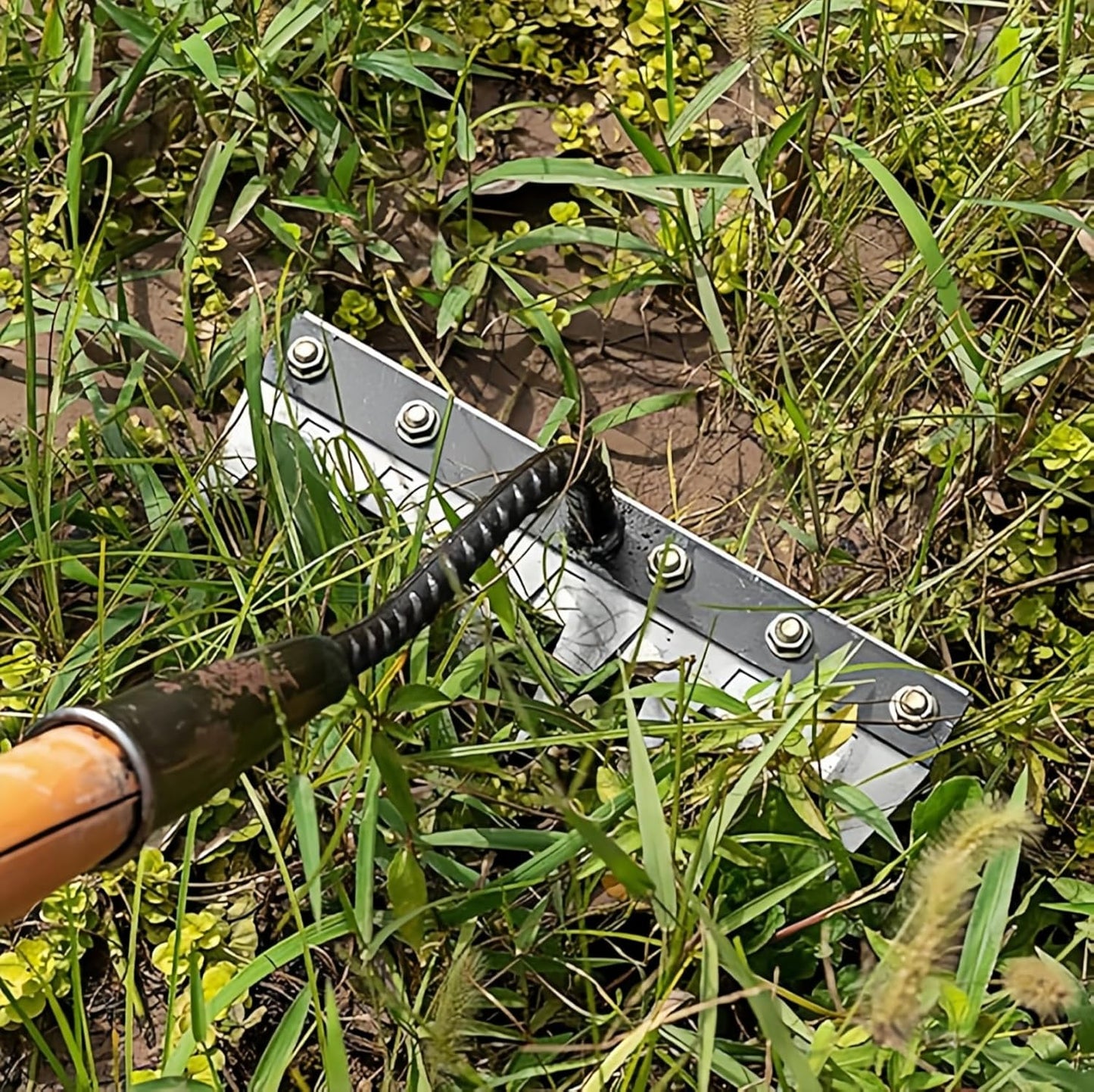 Gardenia Iron Weeding Rake, Iron Rake 2.0 for Gardening and Weeding, Detachable Double-Edged Blade Design Carbon Steel Heavy-Duty Weed Rakes,Hand Weed Puller Tools for Lawn Yard Garden Farm (6 teeths)