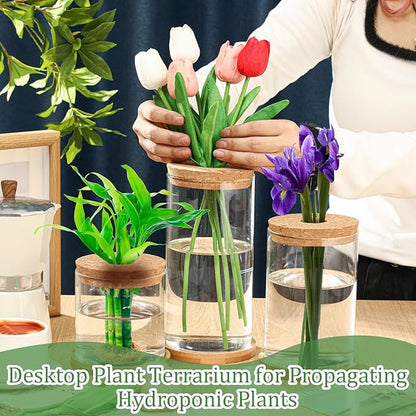 Maxcheck 3 Pcs 3 Sizes Plant Propagation Station Separated Glass Plant Terrarium Water Hydroponic Planter Holder with Lid and Wooden Stand Propagation Vase Pot for Home Indoor Office(Common Sizes)