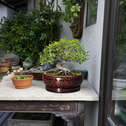 Bonsai Pots - 8 Inch Ceramic Succulent Planters for Indoor Outdoor, Round Shallow Planters with Drainage Hole and Saucer, Succulent Planter Bowl, Home Decor, Housewarming Gifts, Red