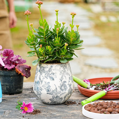 Sungmor Vintage Ceramic Plant Pots, Set of 2 Pretty Ice Cracked Glaze Ceramic Flower Pots, 5.7in. Herb Planters with Drainage Hole, Tuscan Planters for Indoor Outdoor Plants, Home Garden Decor Pot