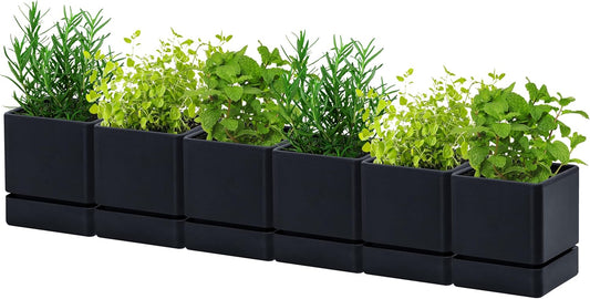 4 Inch Herb Planter Pot, Plastic Planter with Drainage Holes and Saucer, Modern Decorative Gardening Pot for Indoor Plants, Flowers, Herbs, Succulents, Black, Set of 6, 76-Y-B-6