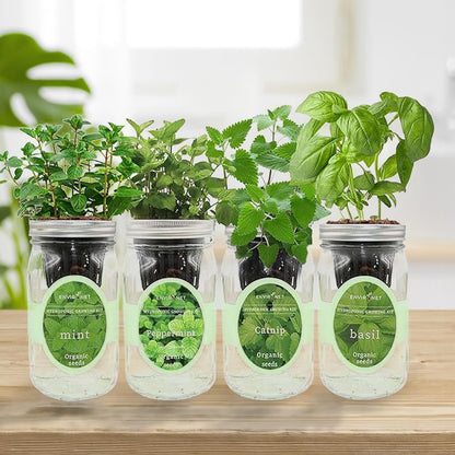 Hydroponic Herb Growing Kit Set, Self-Watering Mason Jar Herb Garden Starter Kit Indoor, Grow 4 Kinds of Herbs from Seeds (Catnip,Peppermint,Mint&Basil)
