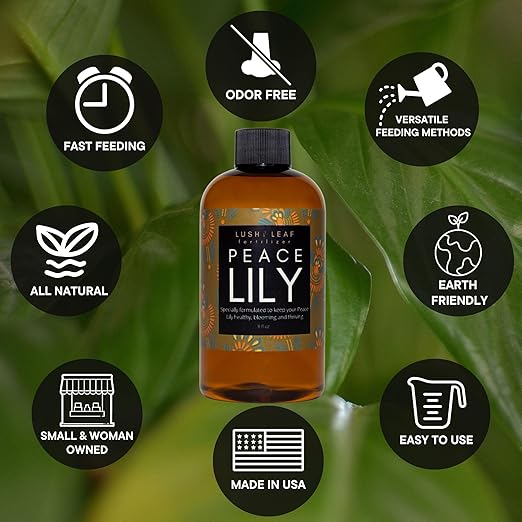 Lush Leaf | Plant Food (Peace Lily)