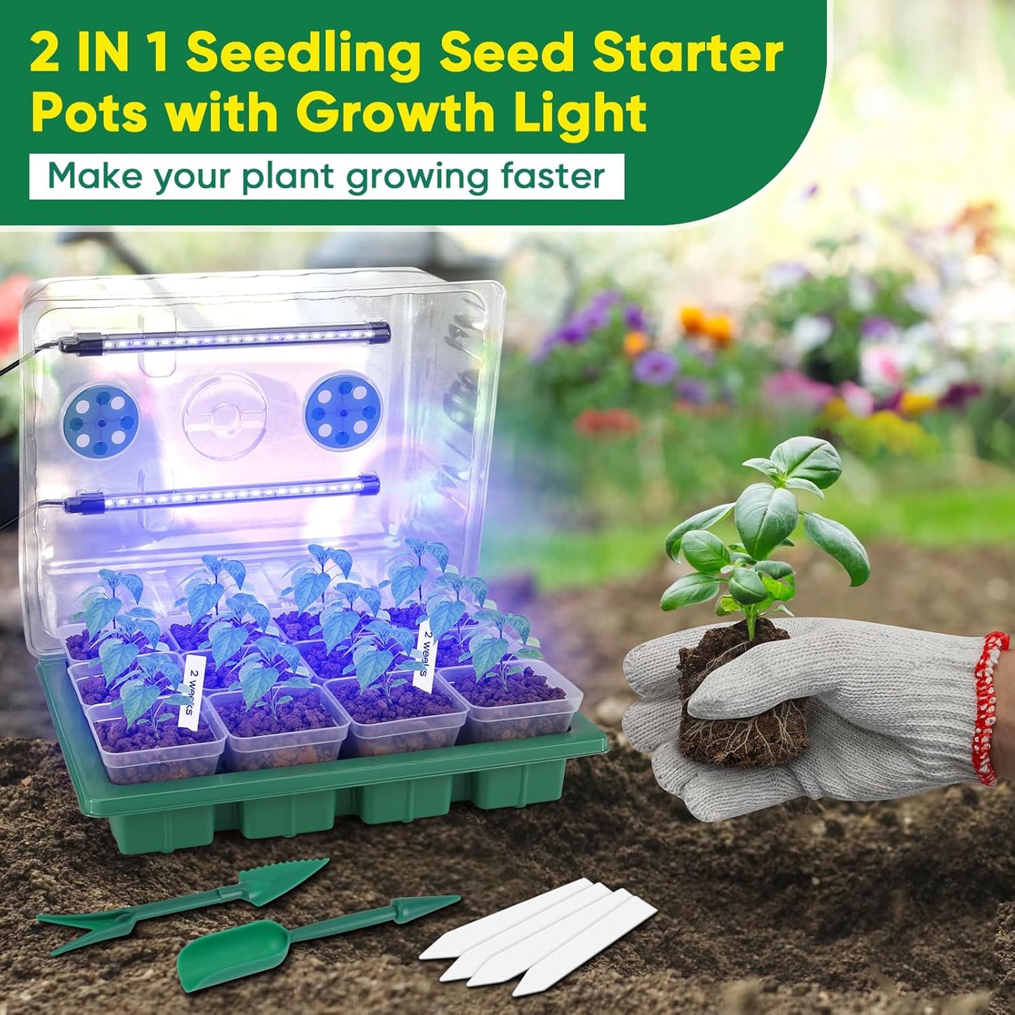 BlumWay Seed Starter Tray with Grow Light,24 Pack 2.9 inch Reuseable Clear Nursery Pots with Silicone Base/Humidity Dome for Deep-Rooted Seedlings,Adjustable Timed Light Plant Starter Set