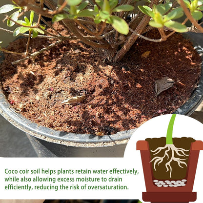 Coco Coir Brick for Organic Coconut Soil - 2 Pack With Low EC & PH Balance - High Expansion Fiber for Herbs & Flowers - Renewable Planting Medium