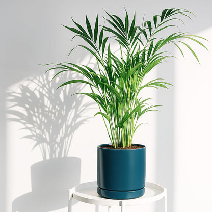 D'vine Dev 4.7 Inch & 6.5 Inch Ceramic Planter Pots for Plants with Drainage Hole and Saucer, Small Plant Pots Set, Teal, 94-G-S-9