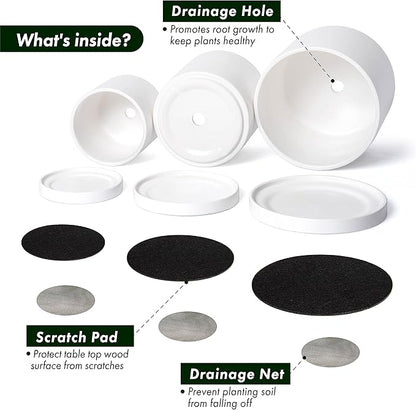 D'vine Dev White Terracotta Pots for Plants, 4.2 Inch 5.3 Inch 6.5 Inch, Succulent Planter Pot with Drainage and Saucer, 40-T-A-1