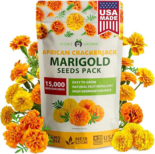 HOME GROWN Crackerjack Marigold Seeds 2.05oz - 15,000 Flower Seeds Planting Outdoor, Large Bulk Pack, 𝗡𝗢𝗡-𝗚𝗠𝗢 𝗨𝗦𝗔 Sourced, High Germination, Companion Planting, Orange (Tagetes erecta)