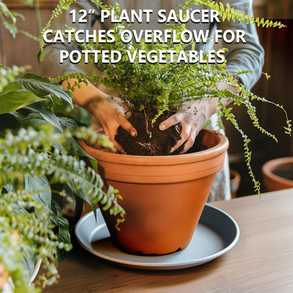 6 Pack 12 Inch Large Gray Plant Saucer Trays, Durable Heavy Duty Plastic PP Planter Bases, Round Water Catcher Plates and Drip Trays for Indoor Outdoor Gardening