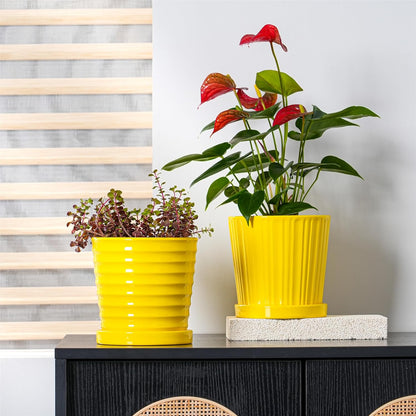 Ton Sin Plant Pots, 6 Inch Flower Pots for Plants,Ceramic Planter with Drainage Holes,Indoor Planter Pots with Saucer,Outdoor Garden Pots (Yellow, 4 Pack)