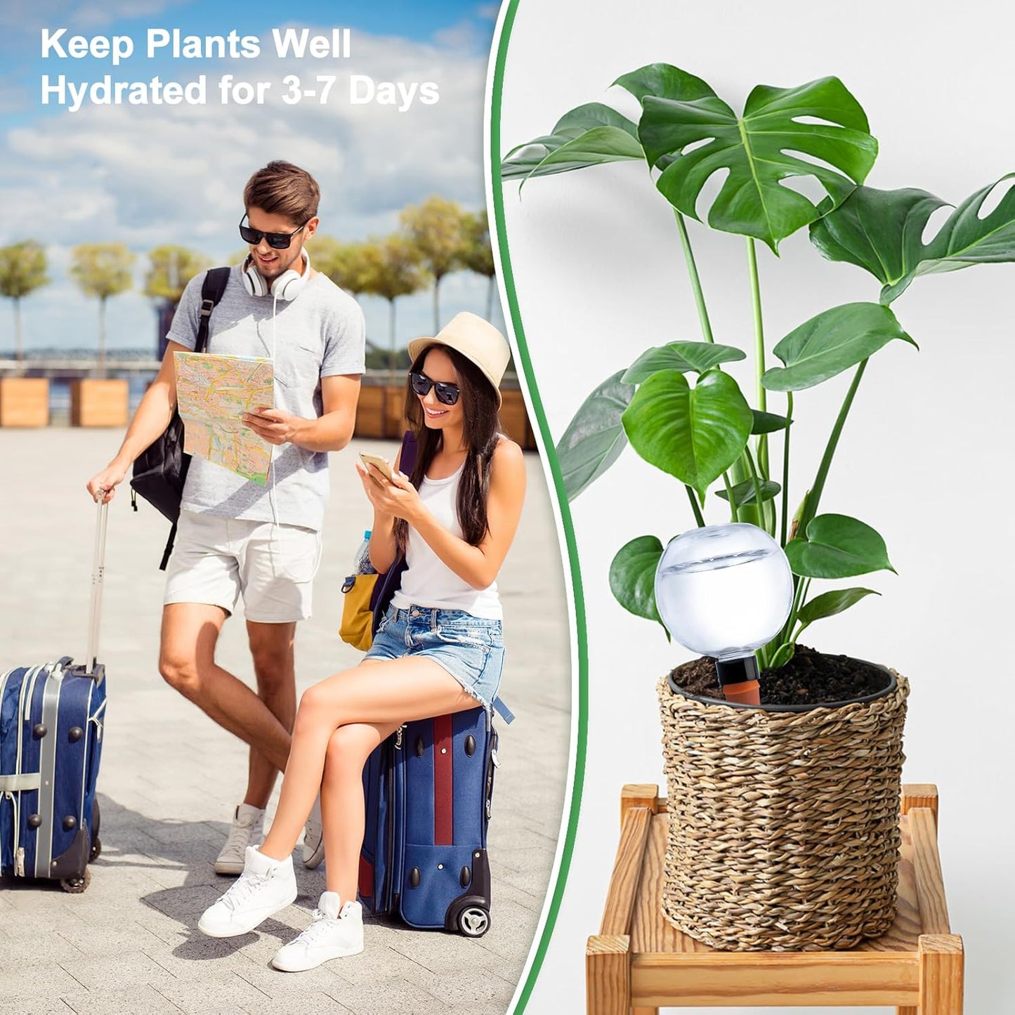 6 Pack Plant Watering Globes 17oz Self Watering Planter Insert Indoor/Outdoor Plant Watering Devices for Automatic Drip Irrigation