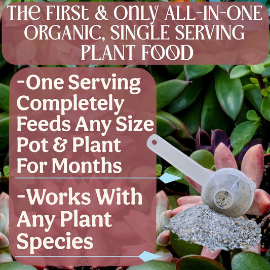 All-In-One Organic Succulent Fertilizer, Cactus Fertilizer, Succulent Plant Food, Bonsai & Cactus Food, 3 lb bag = 75 Single Servings, Fast & Slow Release feeds up to 300 plants for 8months