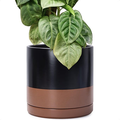 D'vine Dev 12 Inch Ceramic Planter Pot with Drainage Hole and Saucer, Indoor Cylinder Round Planter Pot, Black/Speckled Tan, 94-O-F-7