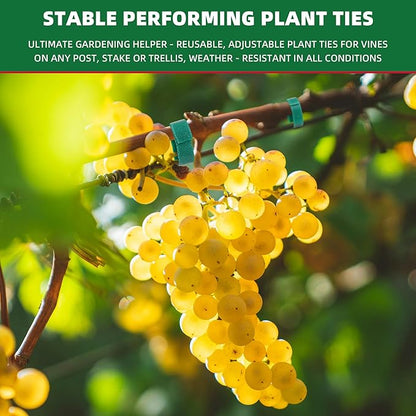 100 ft x 1/2 inch Reusable Plant Ties Roll for Indoor & Outdoor Plants, Non-Toxic Soft Garden Ties, Cut-to-Length Nylon Ties, Gentle Support for Climbing Plants, Tomato Peppers & Vines, Green