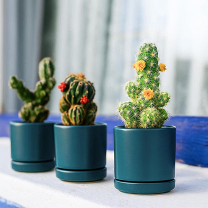 D'vine Dev 3 Inch & 4 Inch & 6 Inch, Set of 3 Round Ceramic Planter Pot with Drainage Hole and Saucer, Teal, 94-T-S-9
