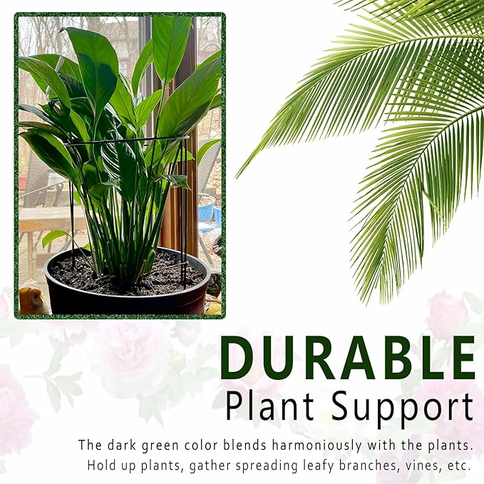6 Pack Plant Support Stakes, Metal Monstera Plant Support Stakes for Indoor Plants, Large Garden Plant Support Ring, Tomato Cage, Tall Plant Holder Sticks (10" W X 15.8" H)