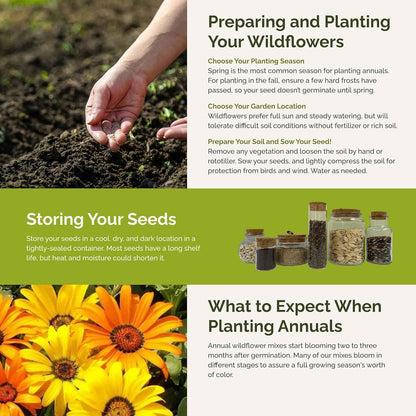 Eden Brothers Royal Meadow Flower Mixed Seeds for Planting, 1/4 lb, 120,000+ Seeds with Morning Glory, African Daisy | Attracts Pollinators, Plant in Spring or Fall, Zones 3, 4, 5, 6, 7, 8, 9, 10