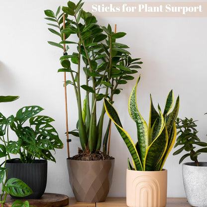 300PCS Marshmallow Roasting Sticks,30 Inch Marshmallow Sticks for Fire Pit Extra Long Wooden Sticks 5mm Thick Bamboo Skewers for Smores Roaster Barbecue Campfire,Weddings and Plant Stakes