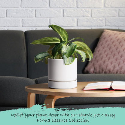 Phoenix Vine 6 Inch Planter Pot with Drainage Hole & Saucer, Deep Water Catch Tray, Straight Cylindrical Round Pot for Plants, Matte White, Pack of 3, 23-B-S-3