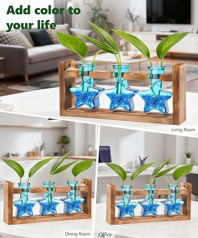 Nacome Star Glass Propagation Stations: Plant Terrarium with Wooden Stand Vase for Home Office Desk Decor, Unique Gifts for Plant Lovers Women Mom (Blue)